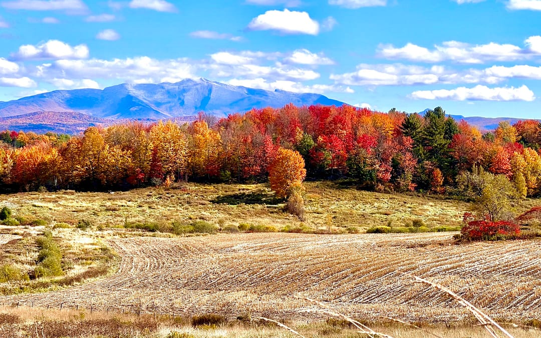 happy autumn