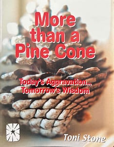 More Than A Pinecone