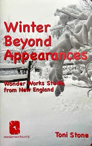 Winter Beyond Appearances