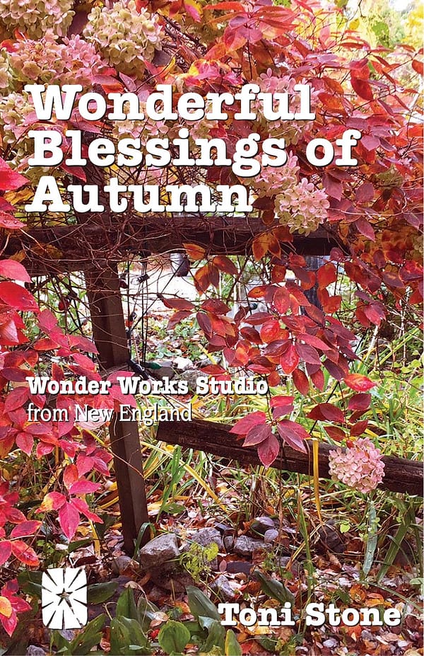 Wonderful Blesssings of Autumn